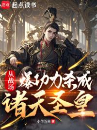 从战场爆功力杀成诸天圣皇