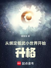 从绑定低武小世界开始升格